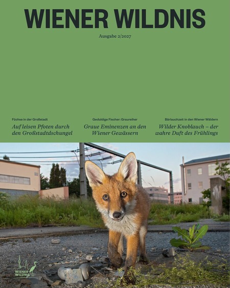 Cover 2/2027: oben Grün mit dem Schriftzug, unten ein junger Fuchs auf einer Brache zwischen Häusern.