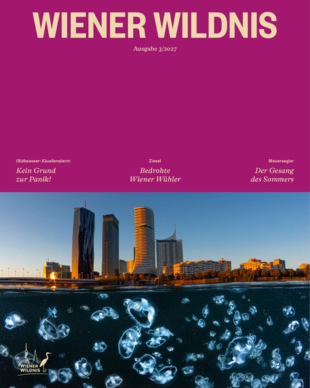Cover 3/2027: oben Magenta mit dem Schriftzug, unten eine Halb-und-halb-Aufnahme: Hochhäuser der Donaucity im Abendlicht, darunter viele Süßwasserquallen im dunklen Wasser.