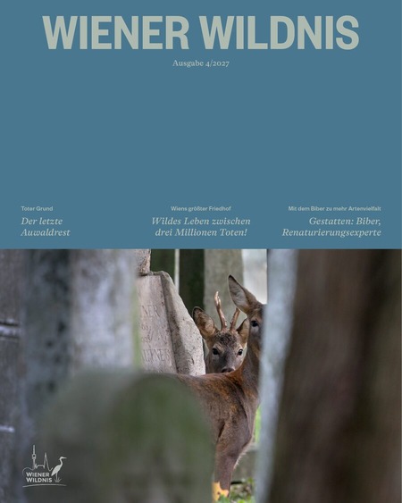 Cover 4/2027: oben Blaugrau mit dem Schriftzug, unten zwei Rehe, die zwischen alten Grabsteinen hervorschauen.