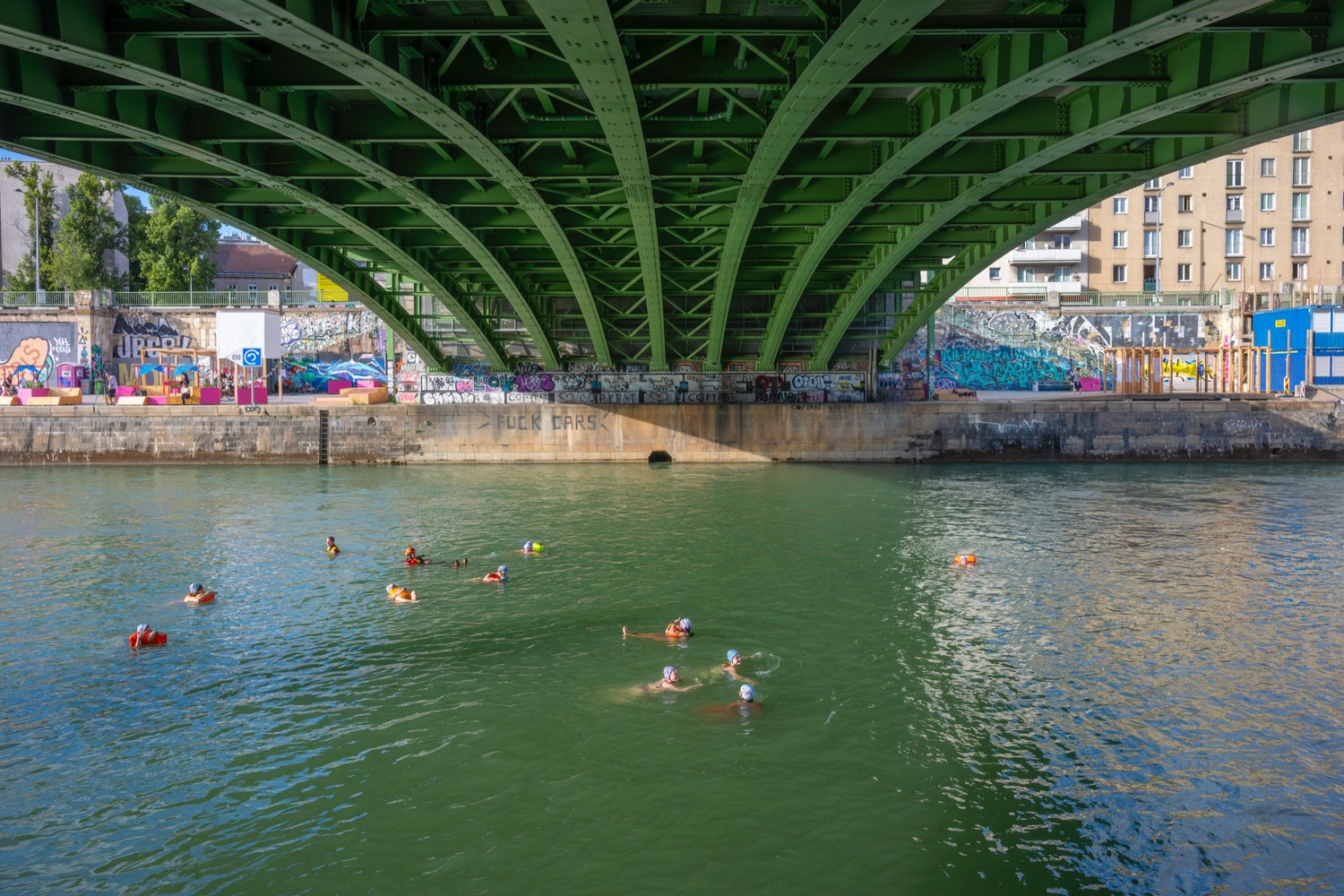 Schwimmerinnen und Schwimmer mit bunten Bojen im grünen Wasser des Donaukanals, über ihnen der Bogen einer grünen Stahlbrücke.